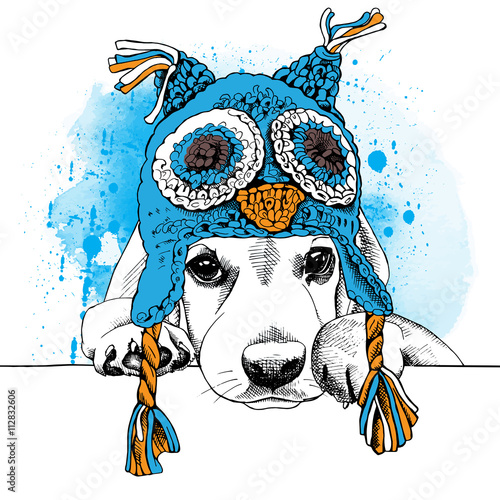 The poster with the image of the dog in the Owl chullo hat. Vector illustration.