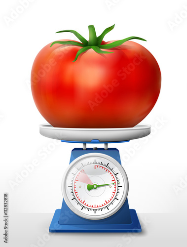 Tomato fruit on scale pan. Weighing tomato with leaf on scales. Qualitative vector illustration about agriculture, vegetables, cooking, health food, gastronomy, olericulture, etc
