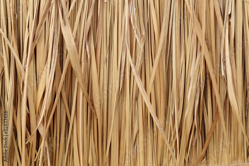 Fototapeta Naklejka Na Ścianę i Meble -  Dried leaves of the cogon grass, natural texture background.