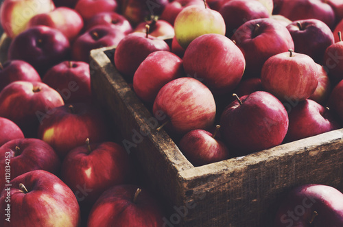 Red autumn apples in farmhouse style wooden crate