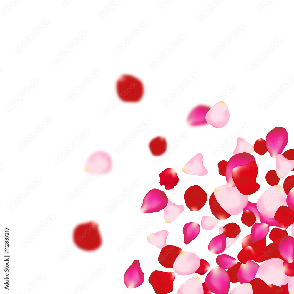 Rose petals falling background. For presentations, invitation ad print. Wedding valentine love concept Rose petals falling background. For presentations, invitation ad print. Wedding valentine love concept
