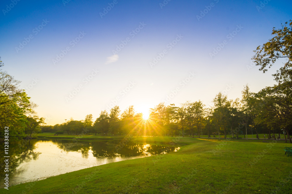 Sunset in the beautiful park with pond nature