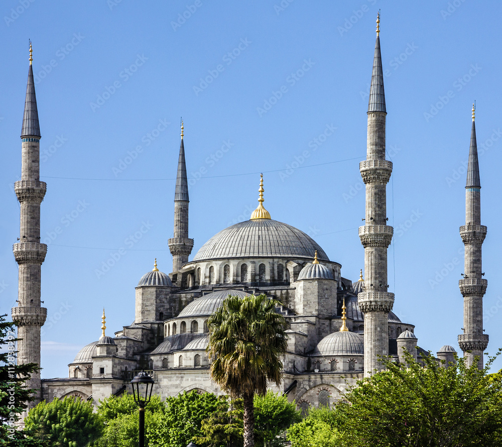 Istanbul, Turkey. Blue mosque Sultanahmet