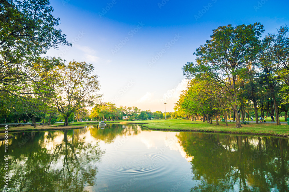 Fototapeta premium Sunset in the beautiful park with pond nature
