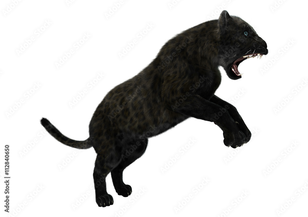 Obraz premium 3D Rendering Black Panther on White