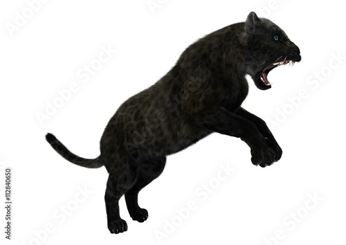 3D Rendering Black Panther on White