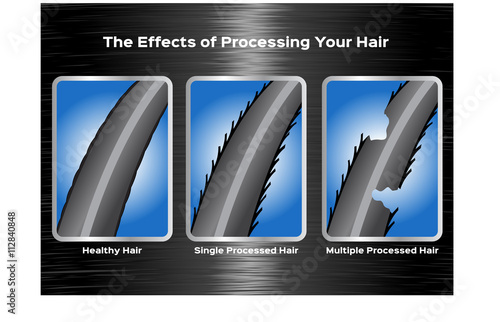 The effect of processing your hair vector , infographic , good hair turn to bad hair