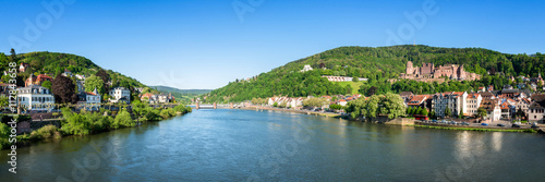 Heidelberg Panorama im Sommer