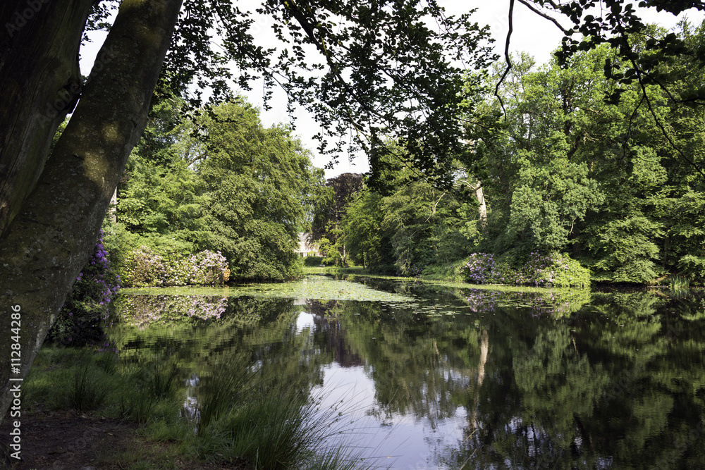 Fototapeta premium big gardens in forest near Baarn in Holland