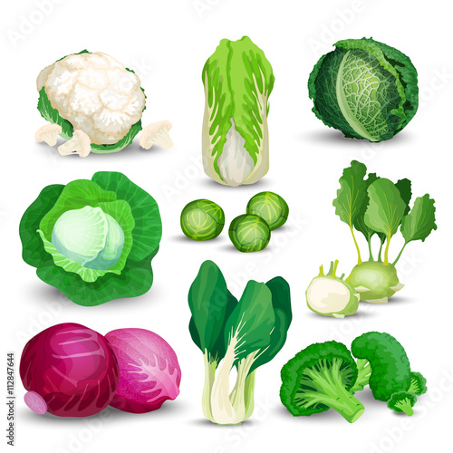Vegetable set with cabbages