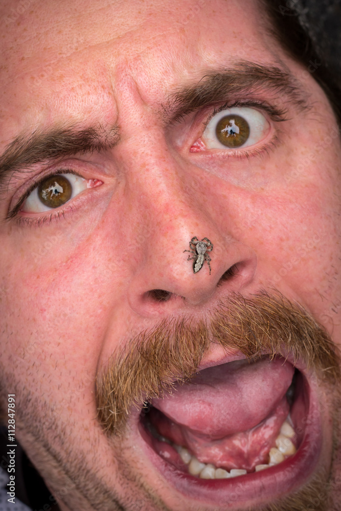 Obraz premium Arachnophobia Man Scared