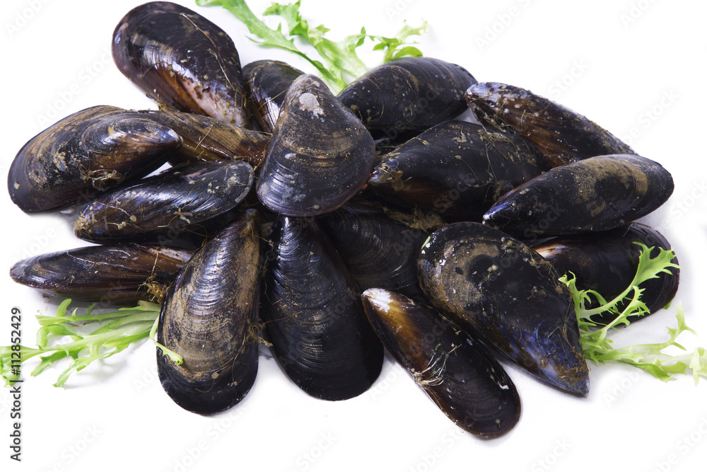 seafood, mussels seafood, mussels