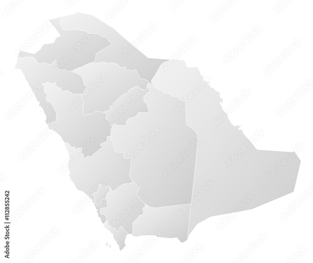 Fototapeta premium Map - Saudi Arabia