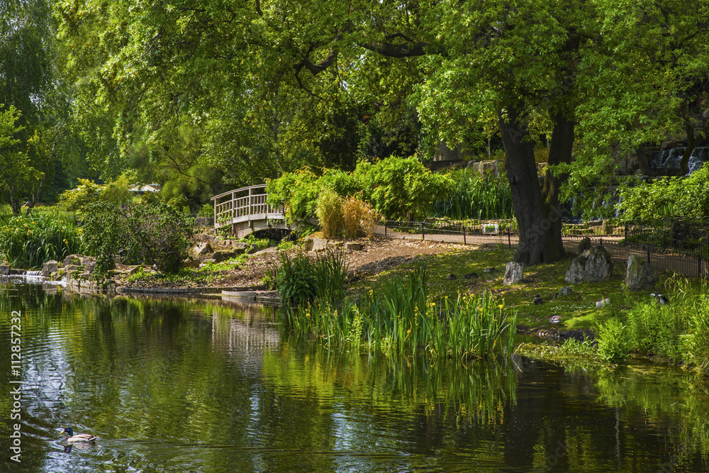 Japanese Garden Island in Regents Park Japanese Garden Island in Regents Park