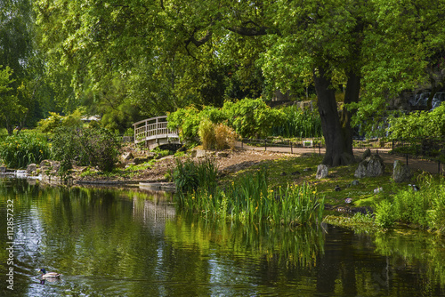 Japanese Garden Island in Regents Park © chrisdorney