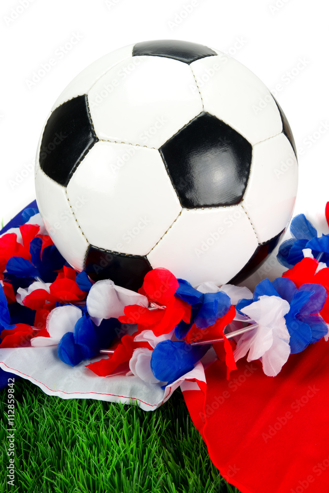 Fototapeta premium Fussball - Frankreich 