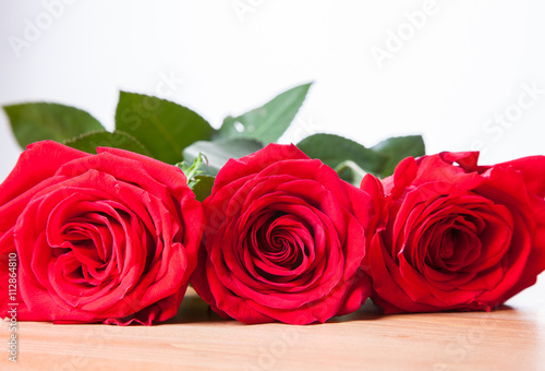 Beautiful three roses