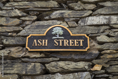 Ash Street in Bowness on Windermere photo