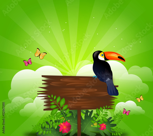 Wooden board with toucan on extotic background photo