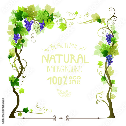 Blue ripe vineyard frame