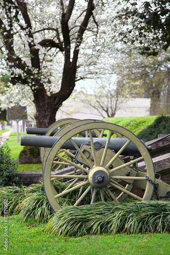 Old Cannons in Natchez Mississippi under spring bloom photo