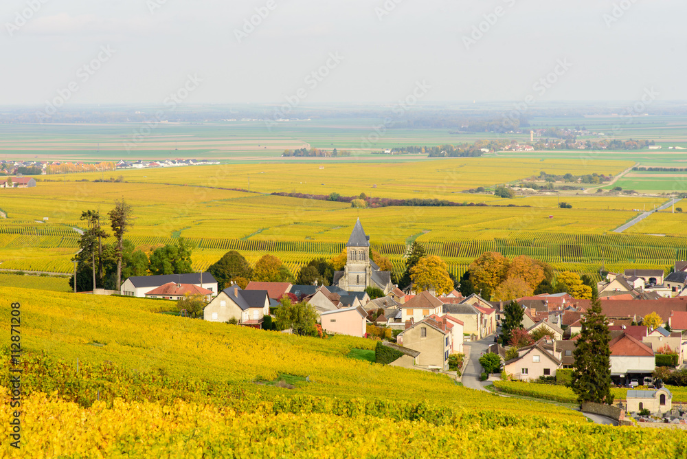 Champagne wine fields during autumn. Village of Oger.