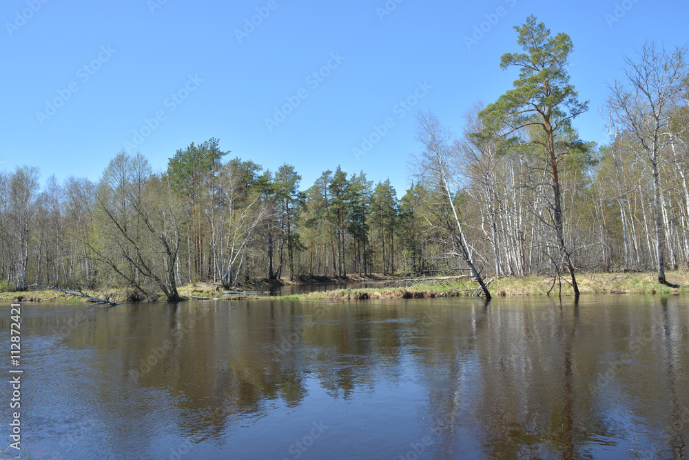 Obraz premium River spring landscape.