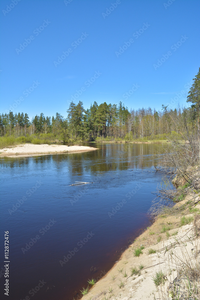 Russian forest river in spring.