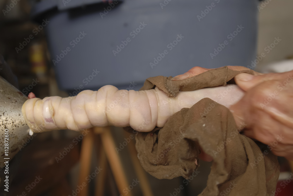 traditional home production of sausages on the island of Mallorca, Spain. Filling pork intestines with minced meat for sausages