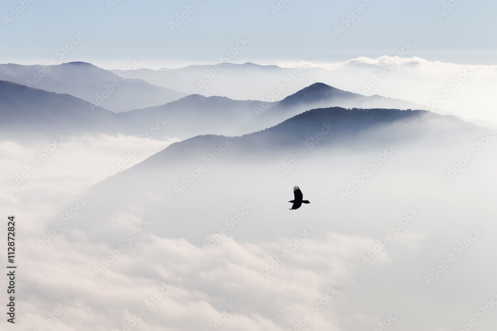 Naklejka premium Silhouettes of mountains in the mist and bird flying