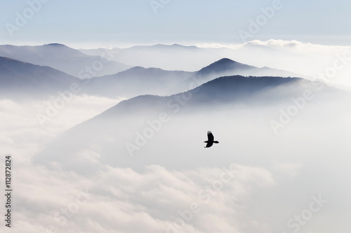 Fényképezés Silhouettes of mountains in the mist and bird flying