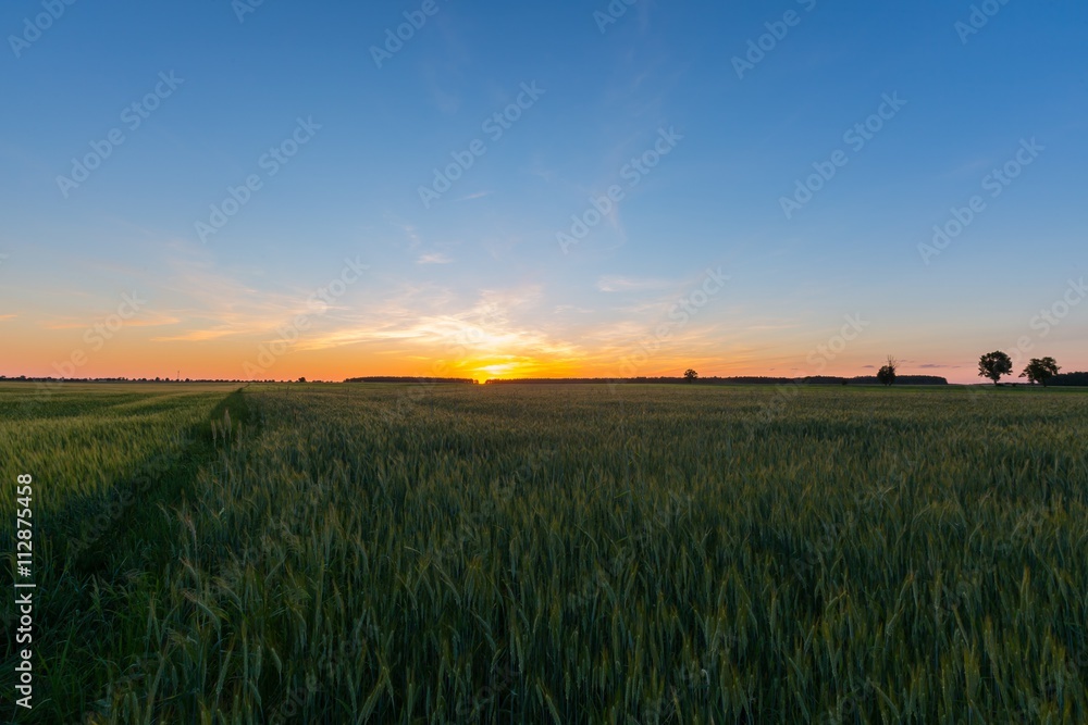 Beautiful after sunset sky over fields in Poland.