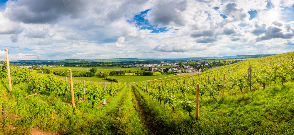 Fototapeta premium am Rhein