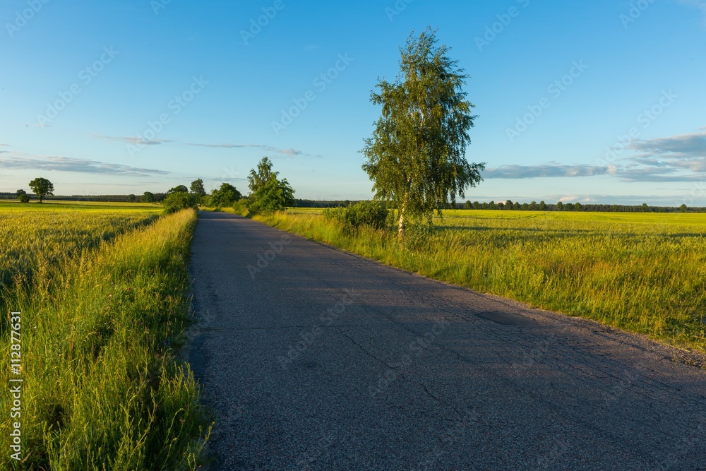 Beautiful fields with asphalt road