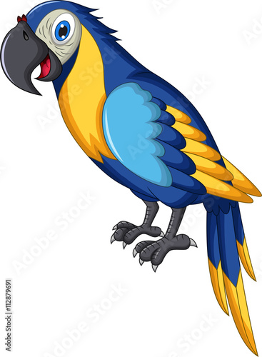 cute parrot cartoon posing