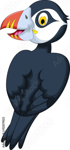 cute atlantic puffin cartoon