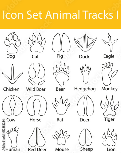 Drawn Doodle Lined Icon Set Animal Tracks I