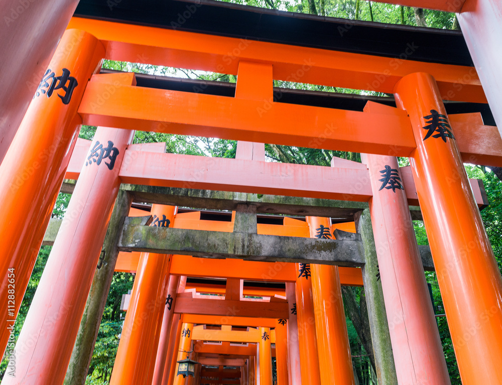 Red Tori Gate at Fushimi Inari Shrine in Kyoto, Japan Red Tori Gate at Fushimi Inari Shrine in Kyoto, Japan