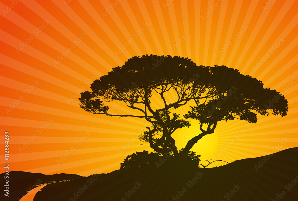 夕日 夕焼け シルエット イラスト Stock Vector Adobe Stock