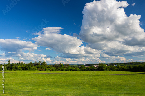 Park with green meadow and forest. Green meadow and blue sky. Summer scene.