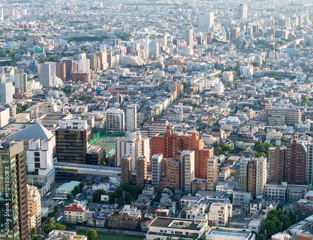 Fototapeta premium Aerial view of Shinjuku skyline, Tokyo