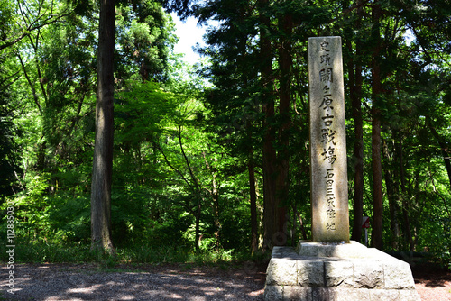 Quadro su tela 関ヶ原古戦場石田三成陣地跡