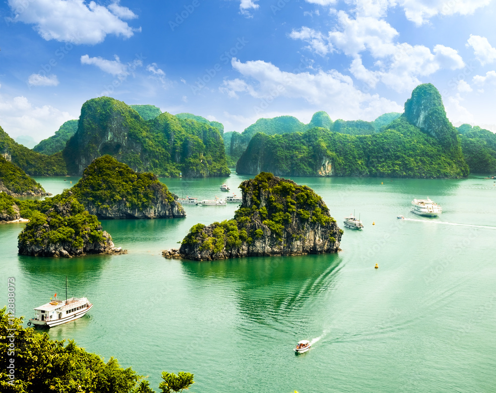 Fototapeta premium HALONG bay in vietnam. UNESCO World Heritage Site. This view from TiTop island and its most popular view for travel in Halong bay.