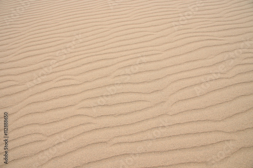 Tottori Sand Dunes in JAPAN (Japan's largest dune, a state's designated natural monument "Tottori Sakyu" ) - Wind Ripple