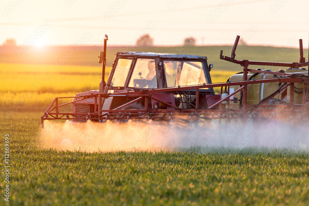 Fototapeta premium Sunset above spraying machine