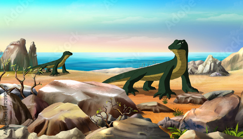Komodo Dragon (Varanus)