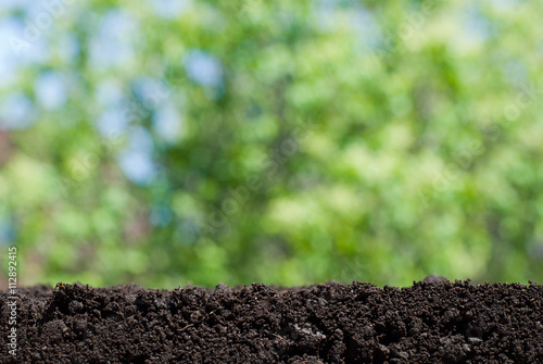 soil and green background 