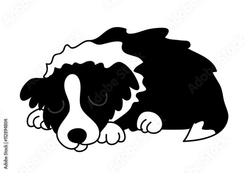 Obraz na płótnie border collie w salonie