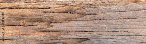 wood