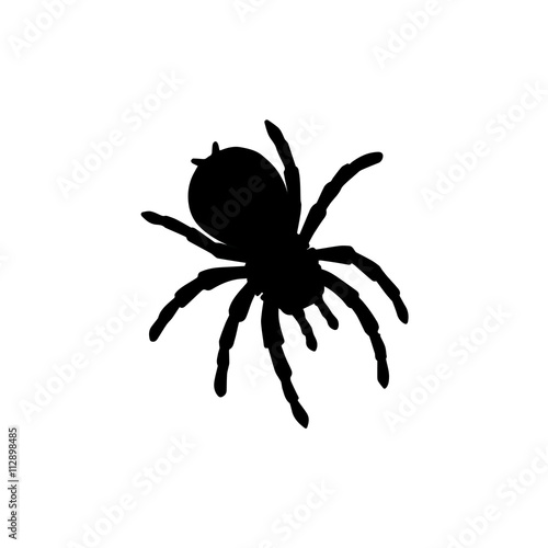 Vector of Abstract Silhouette Spider